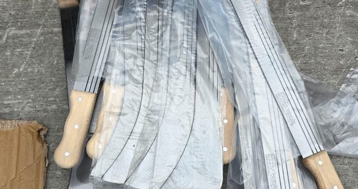 Customs intercepts seven containers of smuggled cutlasses, frozen poultry at Apapa Port