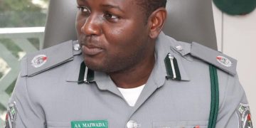 Customs Intercepts Container with Over 10,000 donkey genitals