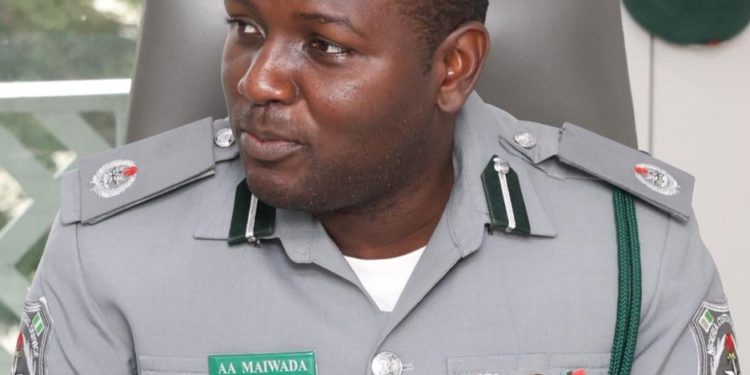 Customs Intercepts Container with Over 10,000 donkey genitals