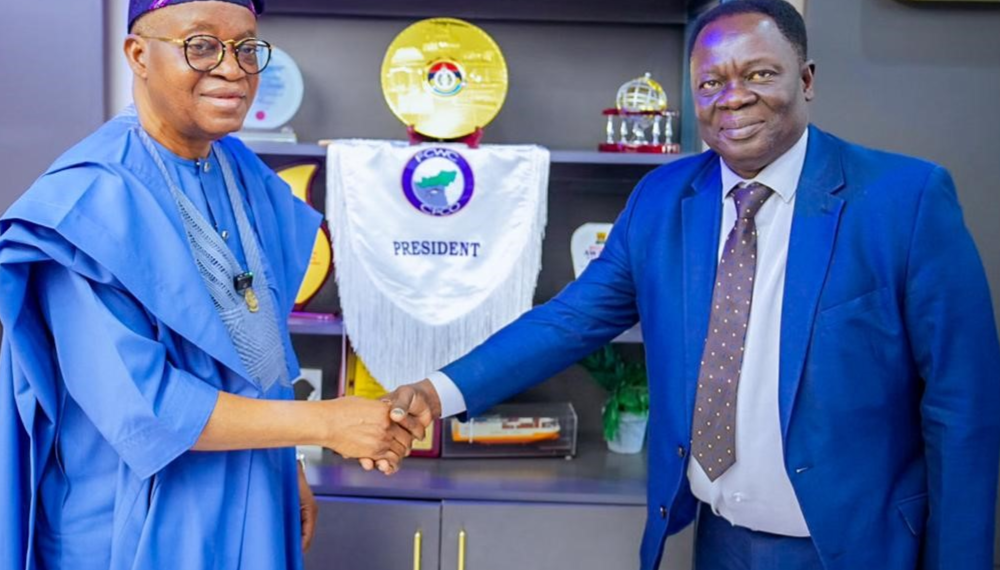 Nigeria to host GoG fishing vessel pilot register – Oyetola