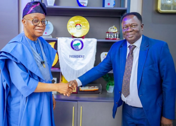 Nigeria to host GoG fishing vessel pilot register – Oyetola